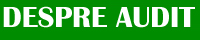 despre audit